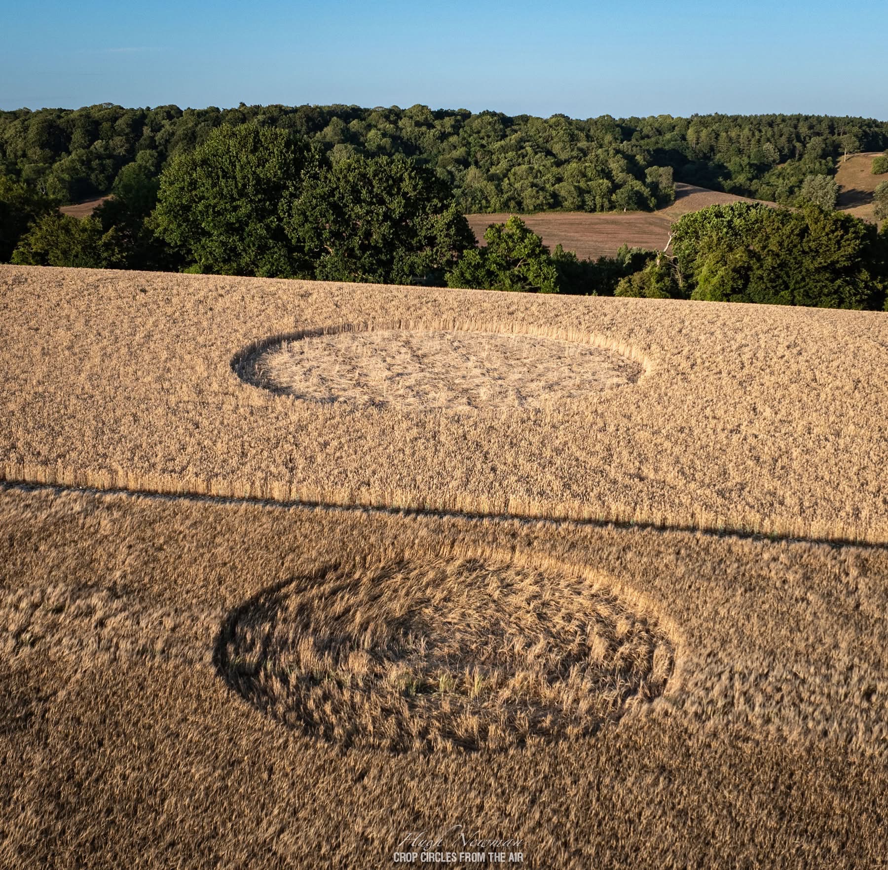 Crop Circle – Ware Farm Manor, Near Lyme Regis, Devon, UK (June 28, 2025)