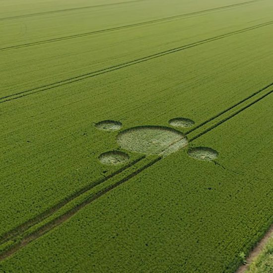 Crop Circle – Whiston, Nr Rotherham, South Yorkshire, UK (June 29, 2021)