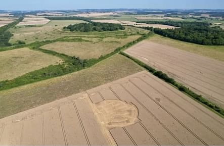 Crop Circle – Near Clapham, Oakley, Bedfordshire, UK (June 30, 2024)