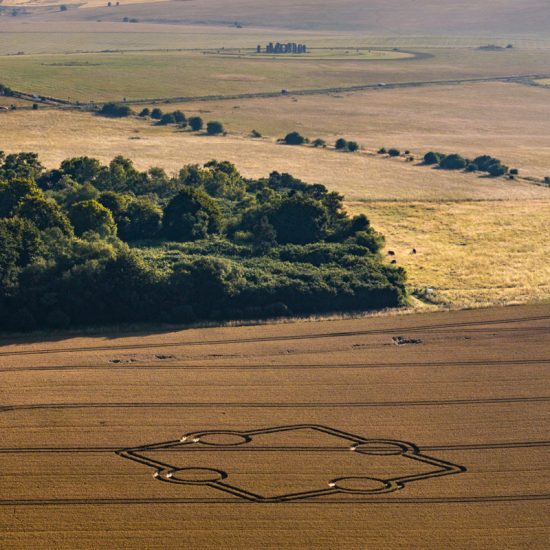 Crop Circle – Near Stonehenge, Wiltshire, UK (June 30, 2024)