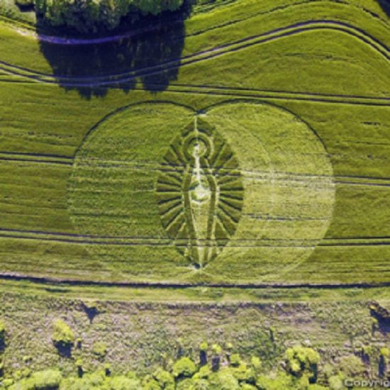 Crop Circle – Unknown Location (May 04, 2017)