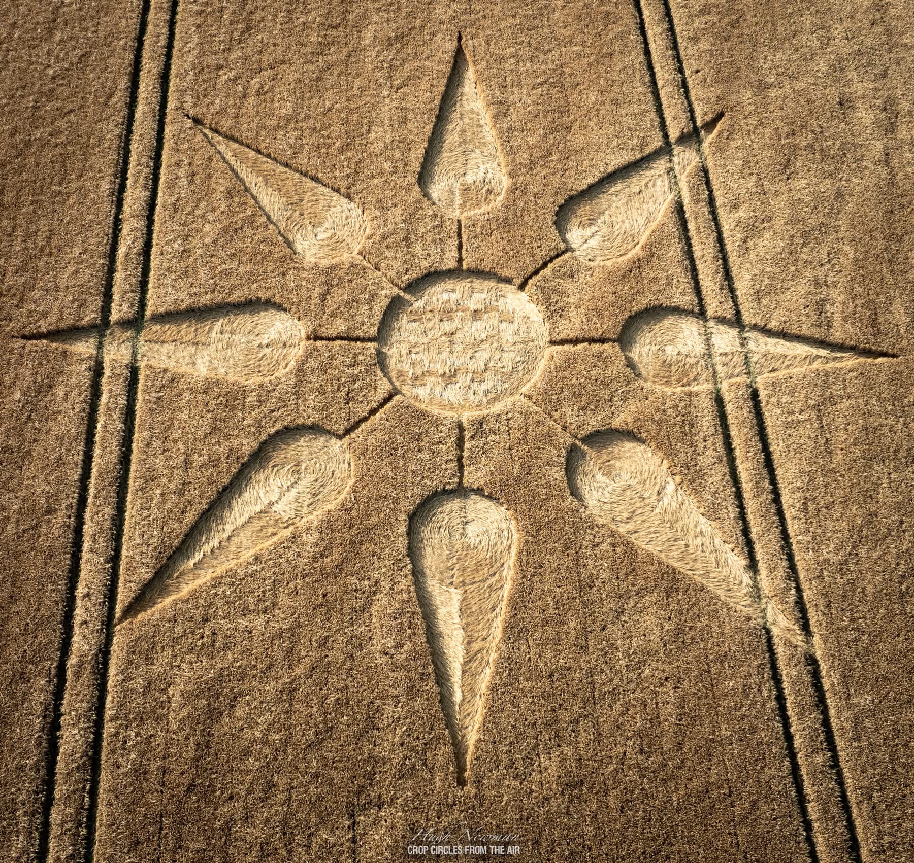 Crop Circle – Near Culliford Tree Barrow, Weymouth, Dorset, UK (May 19, 2025)