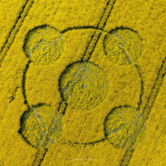 Crop Circle – Little Down, Near Hippenscombe, Wiltshire, UKMap: SU3086055367 (May 22, 2022)