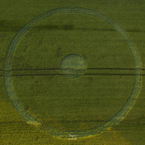Crop Circle – Unknown Location (May 26, 2020)