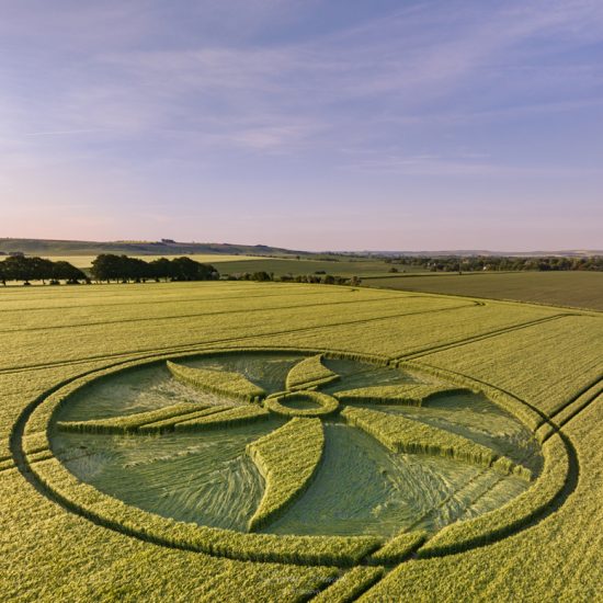 Crop Circle – Broad Hinton, Wiltshire, UKLocation: (May 28, 2023)