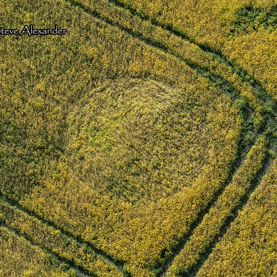 Crop Circle – Unknown Location (September 07, 2020)