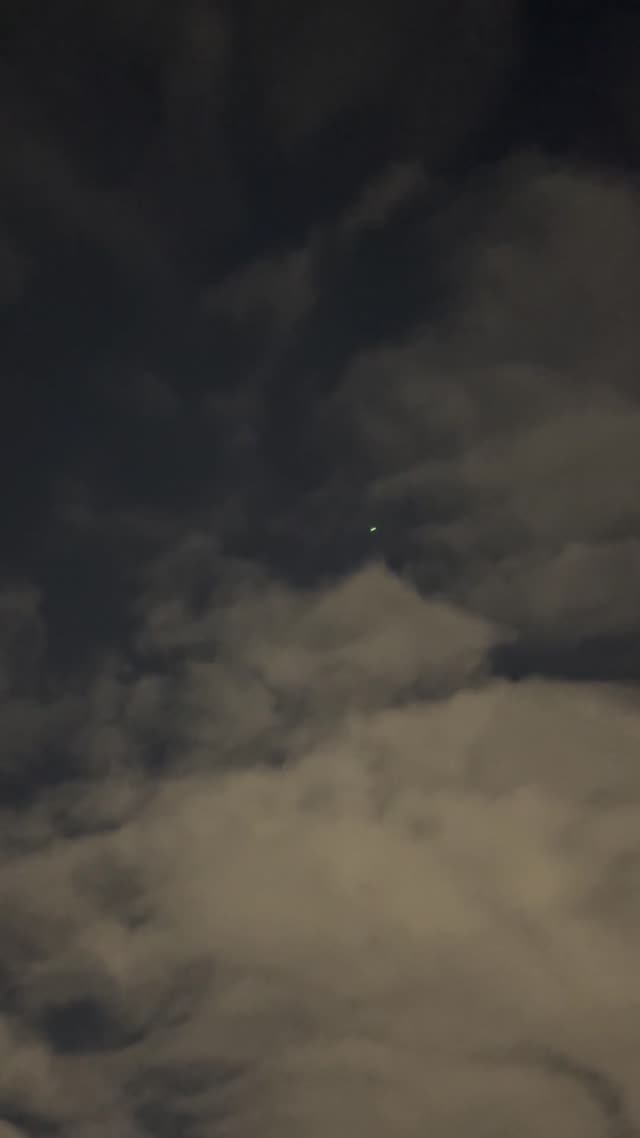 Insane Sighting Experience Edmonton AB