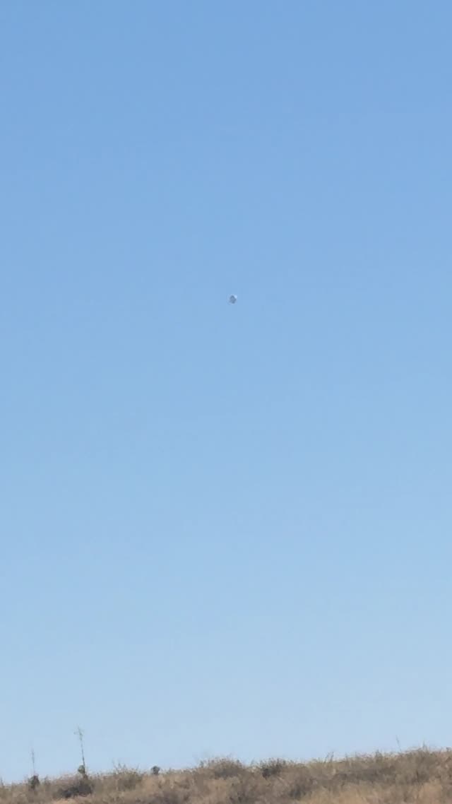 Need Help Identifying Sonoita Az 12.21.24 1 30pm