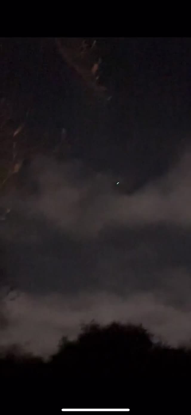 Spotted 12.3.24 In Elkhart In Facing Ne Michigan