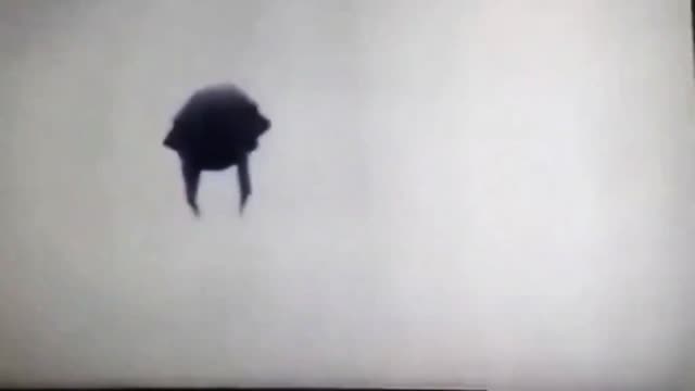 This Beetle Like UFO Was Filmed In Mexico