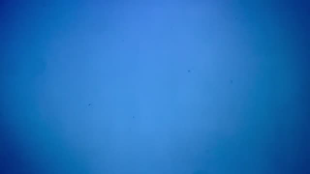 UFO Video – Roscoe, Illinois, USA (June 19, 2022)