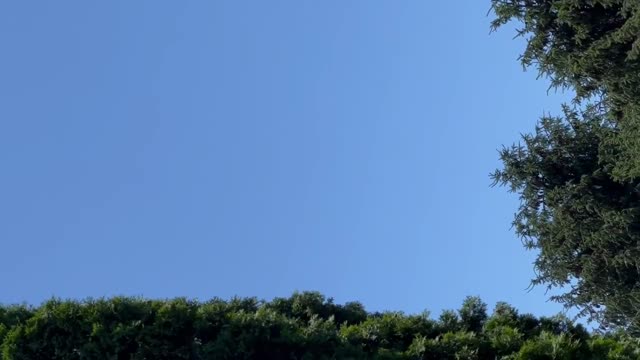 UFO Video – Roscoe, IL (June 19, 2022)