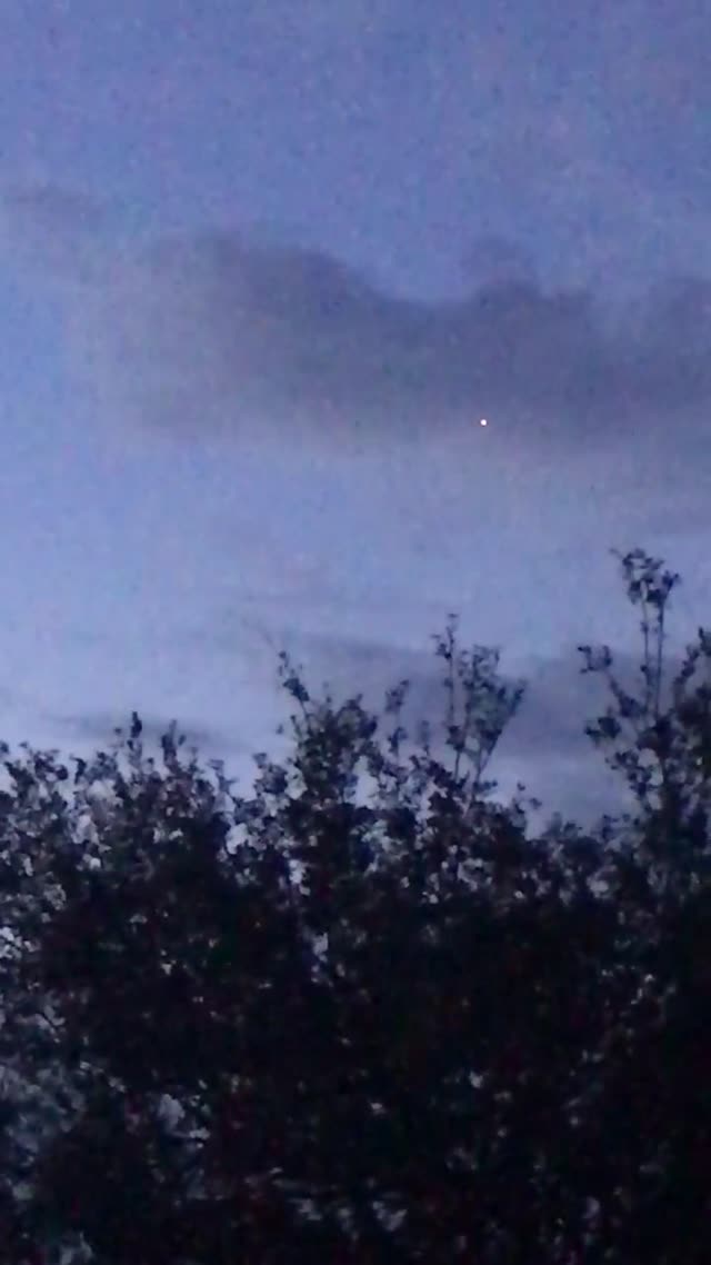 UFO Video – Palm Bay, Florida (August 24, 2017)