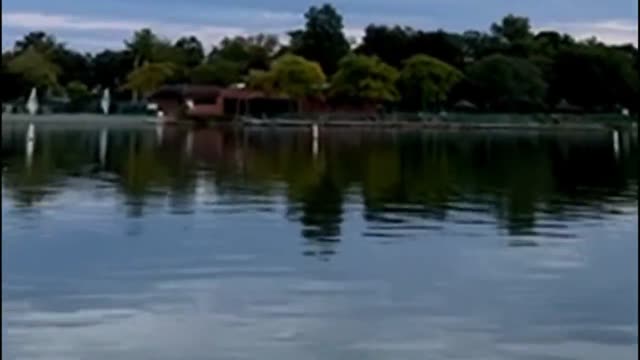 UFO Video – Mundelein, Illinois, USA (October 2022)