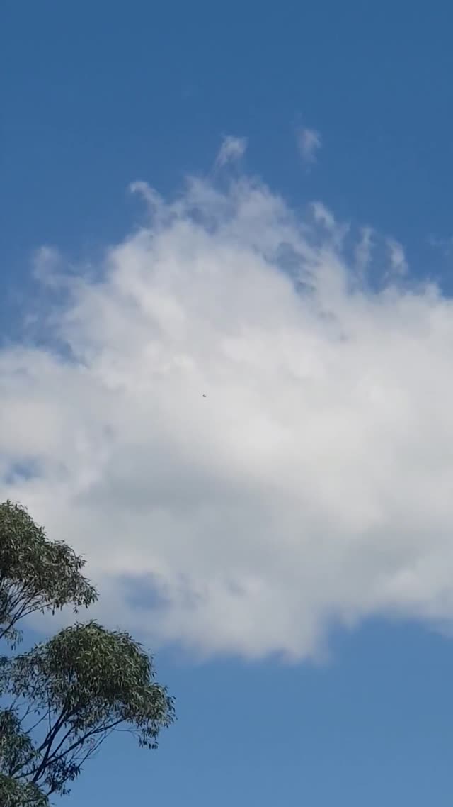 UFO Video – Figtree, Australia (October 31, 2022)