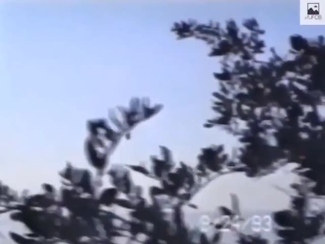 UFO Video – Gulf Breeze, Florida, USA (1993)