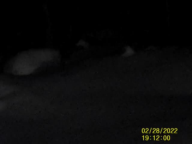 UFO Video – Kingfield, Maine, USA
