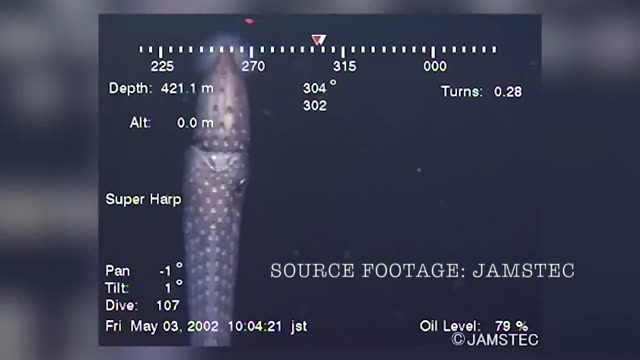 UFO Video – Sanriku, Iwate, Japan