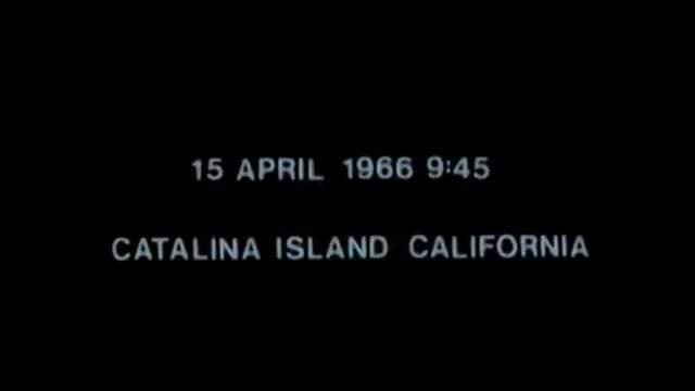 UFO Video – Catalina Island (2022)