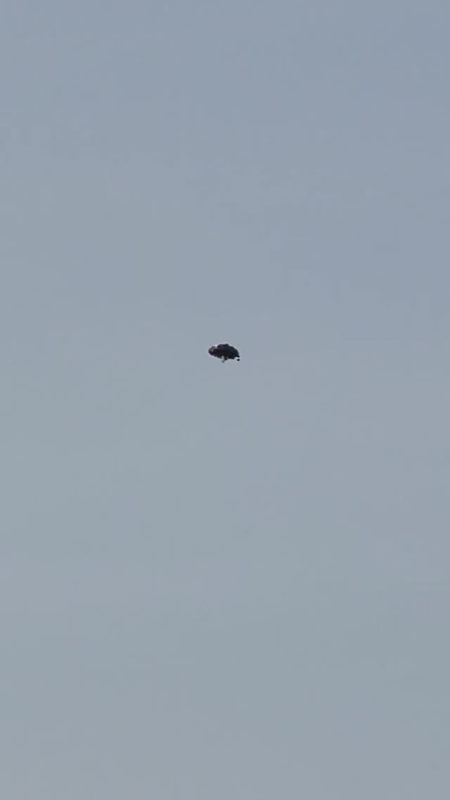 UFO Video – Cheifland, Florida (May 29, 2023)
