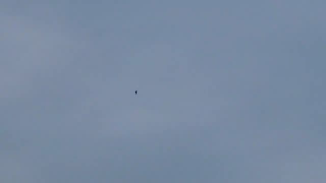 UFO Video – Turkey (2014)