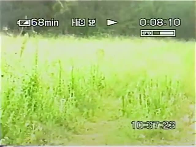 UFO Video – Utah, USA (2004)