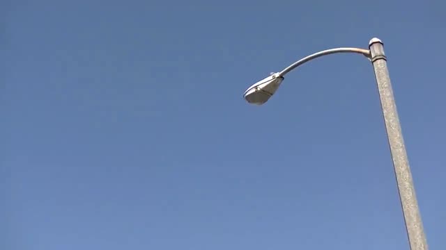 UFO Video – Sequoia Park, Eureka, California, USA