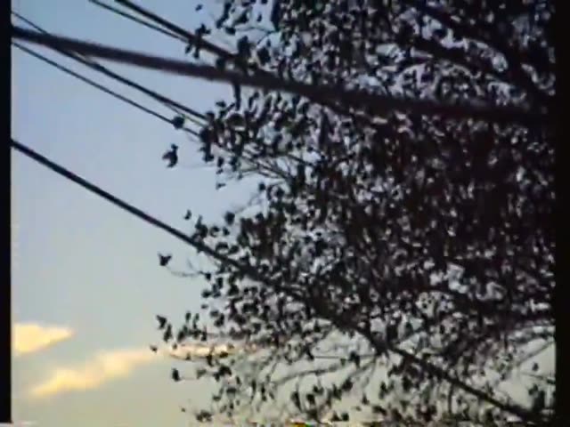 UFO Video – Woodbridge, NY (1999)