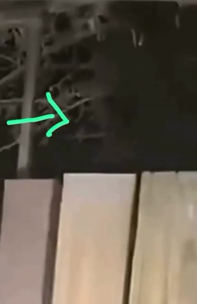 UFO Video – Las Vegas, Nevada, USA (2023)