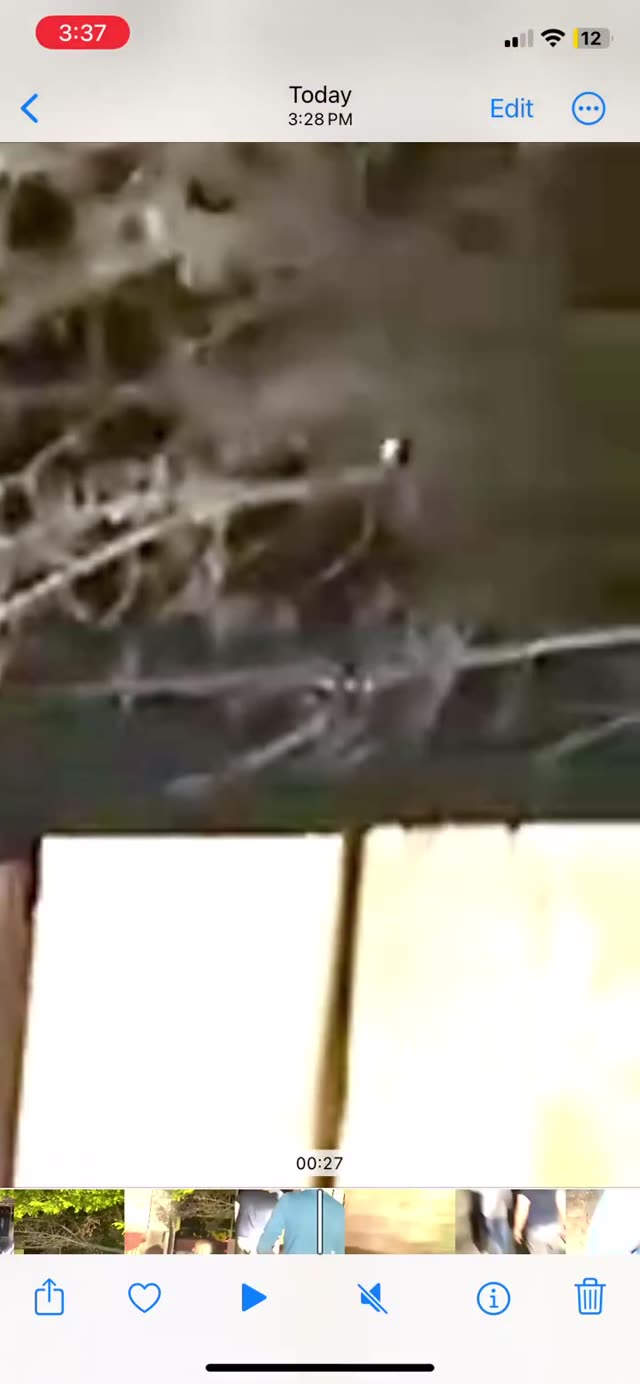 UFO Video – Las Vegas, Nevada, USA (2023)