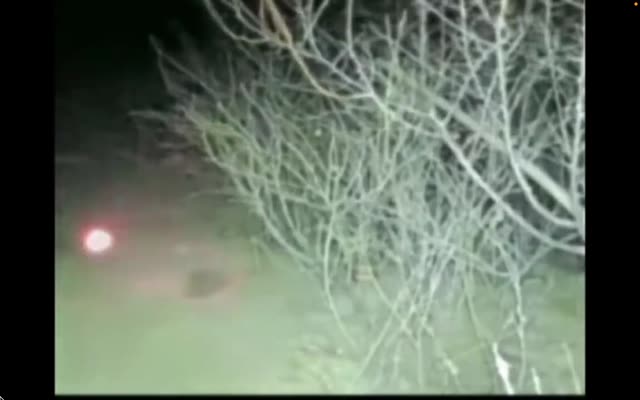 UFO Video