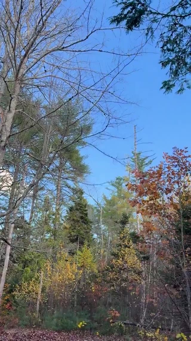 UFO Video – Ogunquit, Maine, USA (October 24, 2025)