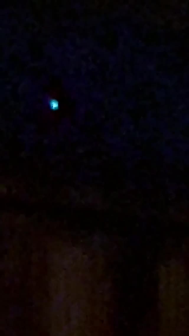 UFO Video – Reno, Nevada, USA (October 6, 2024)