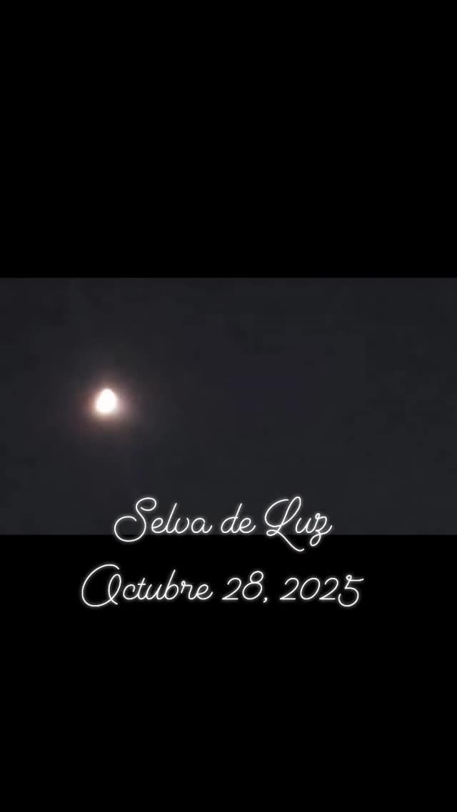 UFO Video – Las Vegas, Nevada, USA (October 28, 2025)