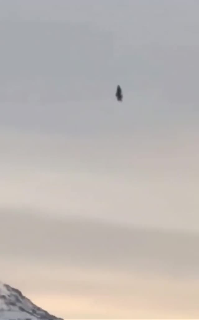 UFO Video – Juneau, Alaska, USA (2024)