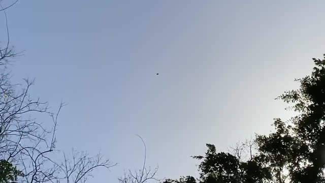 UFO Video – Meadows Place, Texas (April 8, 2022)