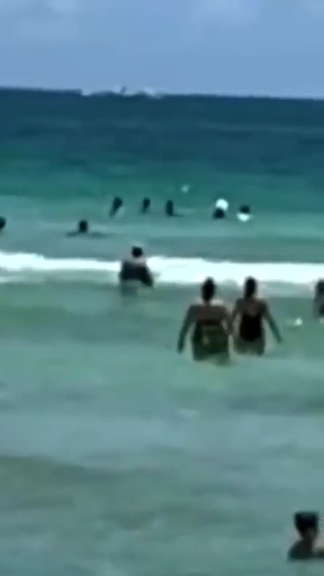 UFO Video – Miami, Florida (2023)