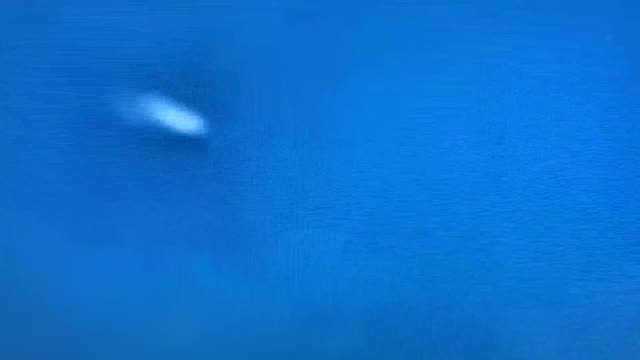 UFO Video – Miami Beach, Florida, USA