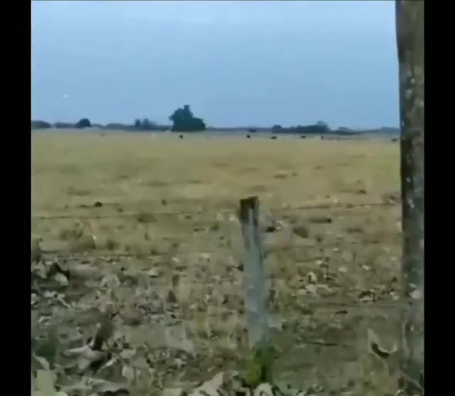 UFO Video – Venezuela (September 11, 2020)