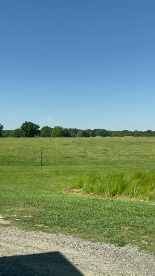 UFO Video – North Carolina, USA