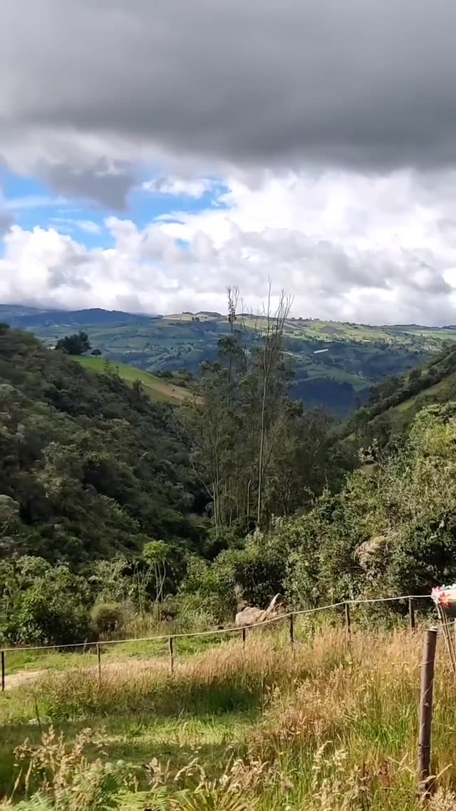 UFO Video – Republic of Colombia, South America (August 4th, 2022)
