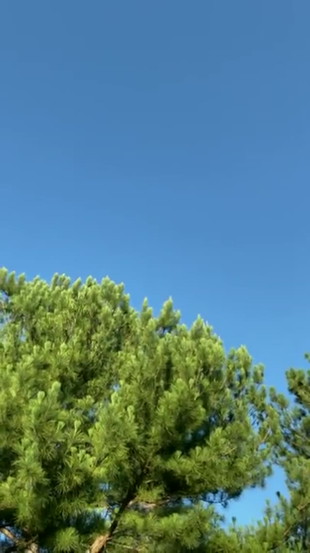 UFO Video – Arkansas, USA (August 30, 2022)